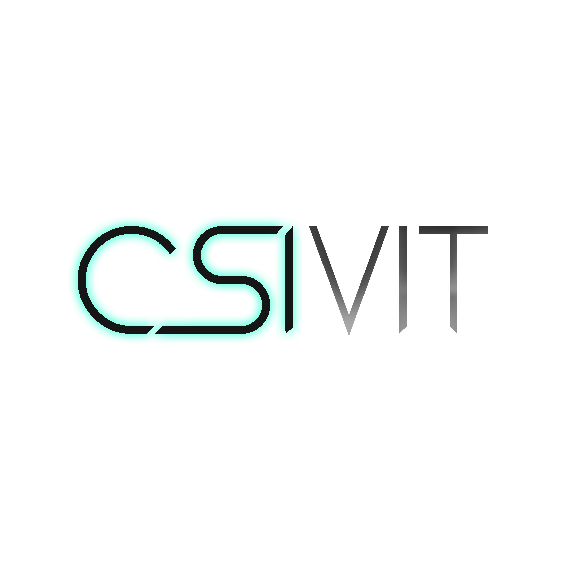 CSI-VIT